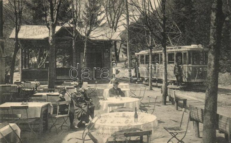 Obrázek vložený uživatelem