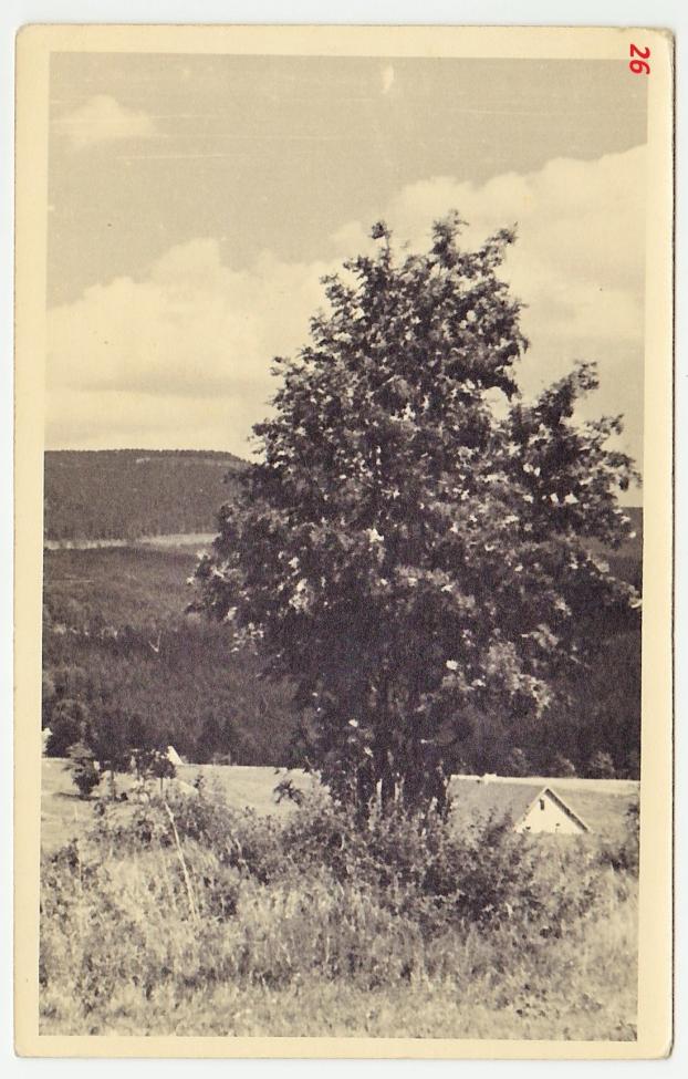 Obrázek vložený uživatelem