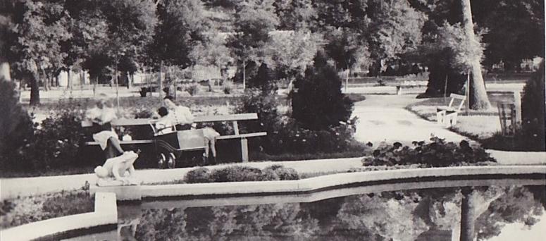 Obrázek vložený uživatelem