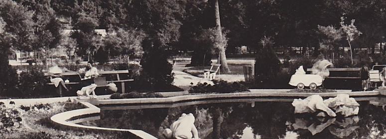 Obrázek vložený uživatelem