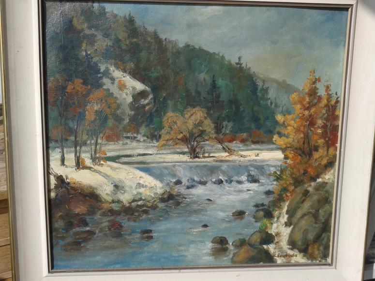 Obrázek vložený uživatelem