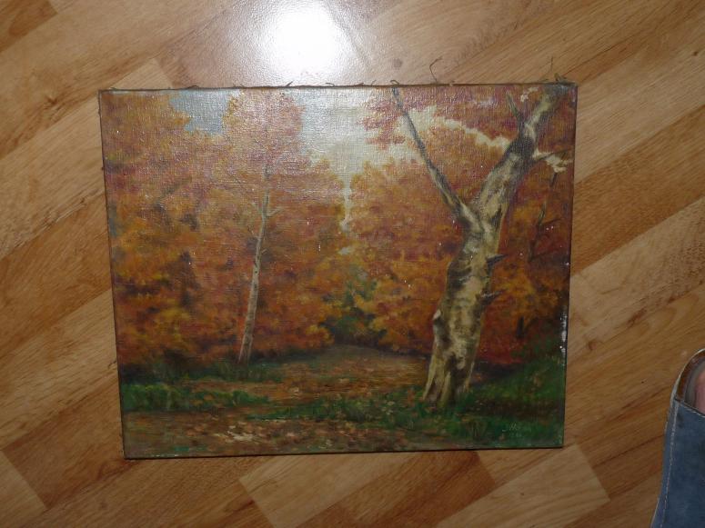 Obrázek vložený uživatelem