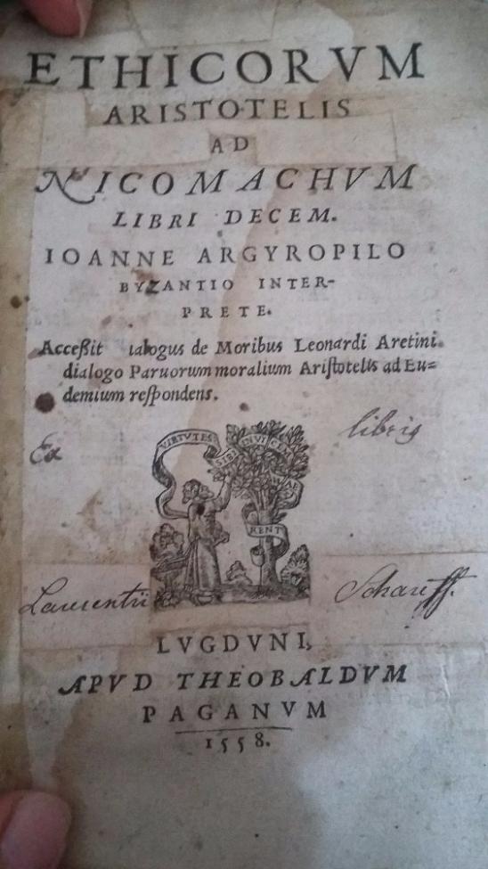 Obrázek vložený uživatelem
