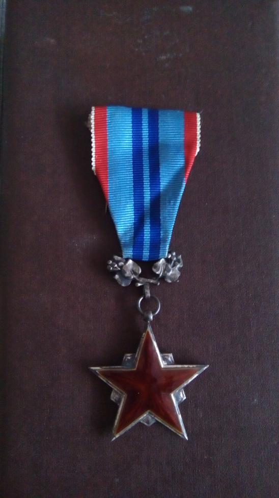 Obrázek vložený uživatelem