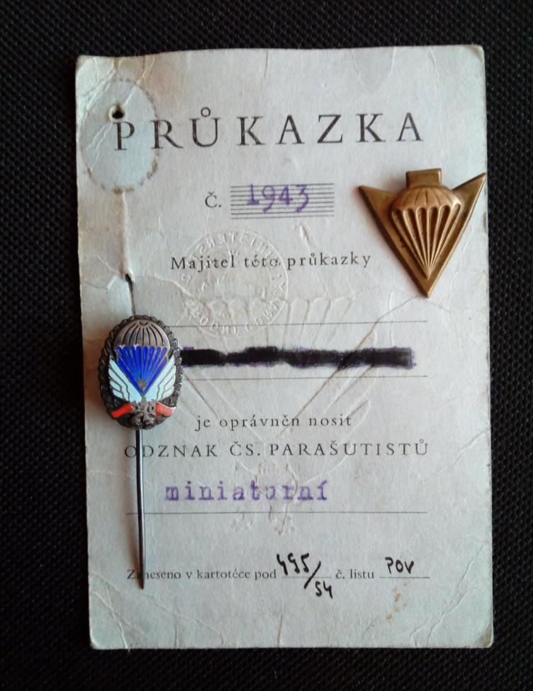 Obrázek vložený uživatelem