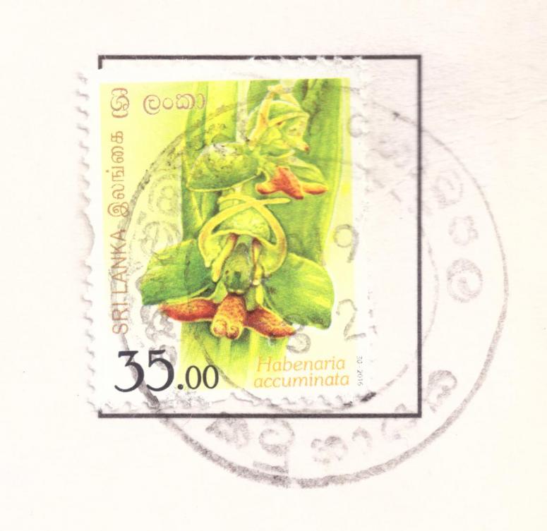 Obrázek vložený uživatelem