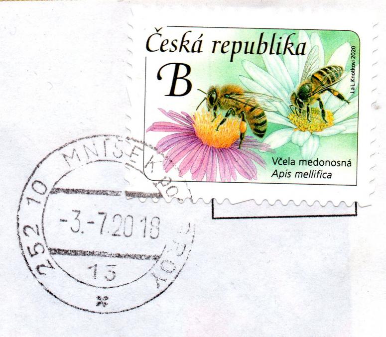 Obrázek vložený uživatelem