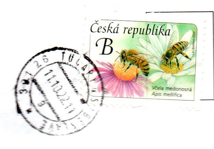 Obrázek vložený uživatelem
