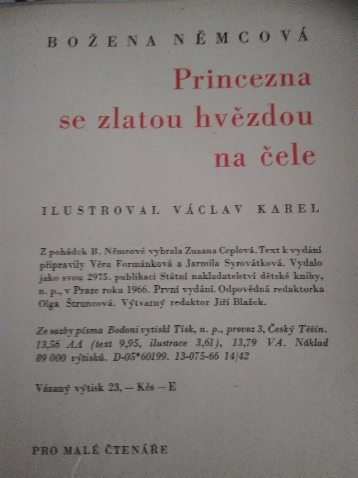 Obrázek vložený uživatelem