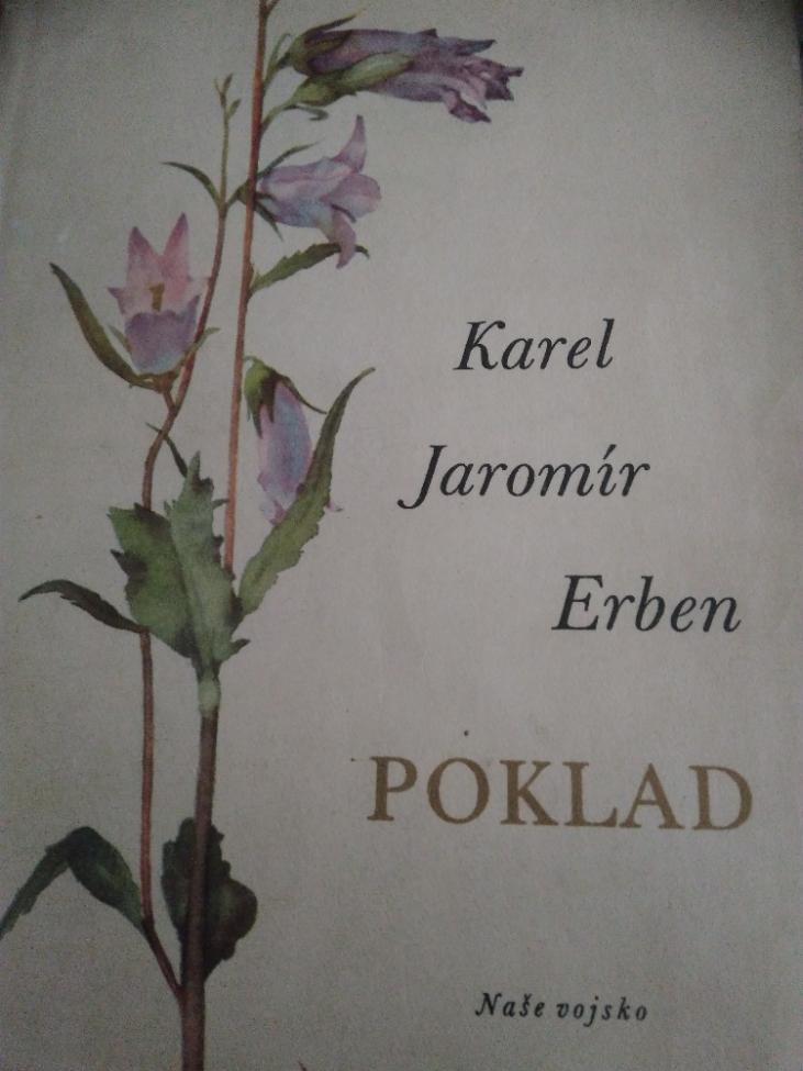 Obrázek vložený uživatelem