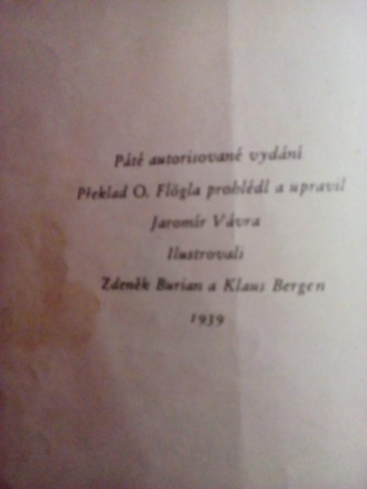 Obrázek vložený uživatelem