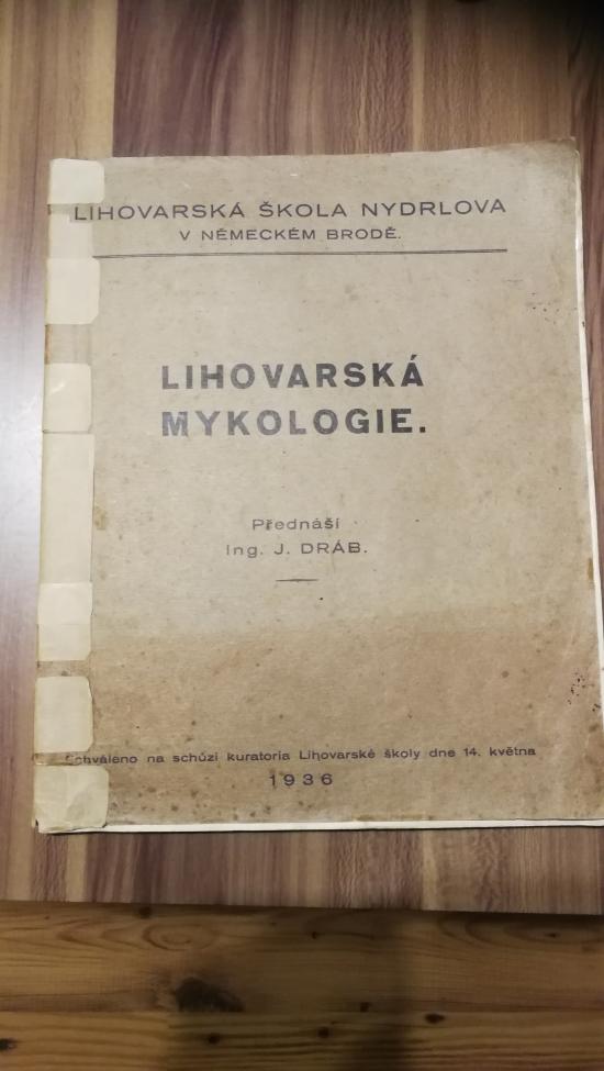 Obrázek vložený uživatelem