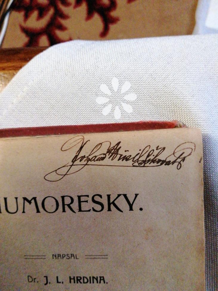 Obrázek vložený uživatelem