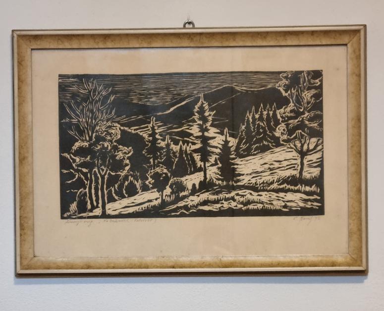Obrázek vložený uživatelem