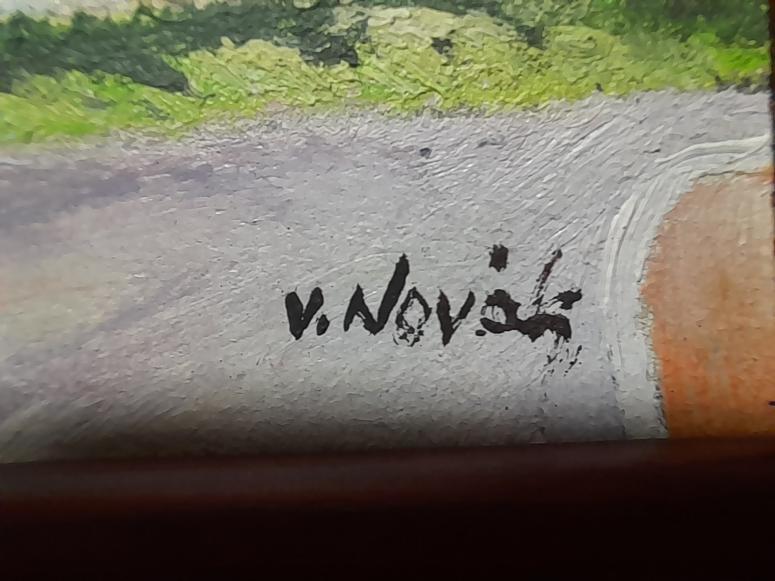 Obrázek vložený uživatelem
