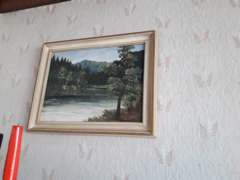 Obrázek vložený uživatelem