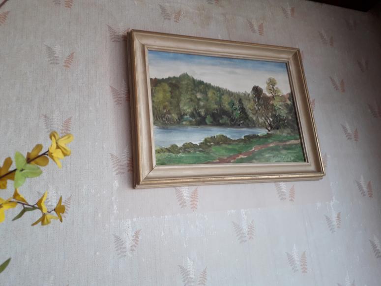 Obrázek vložený uživatelem