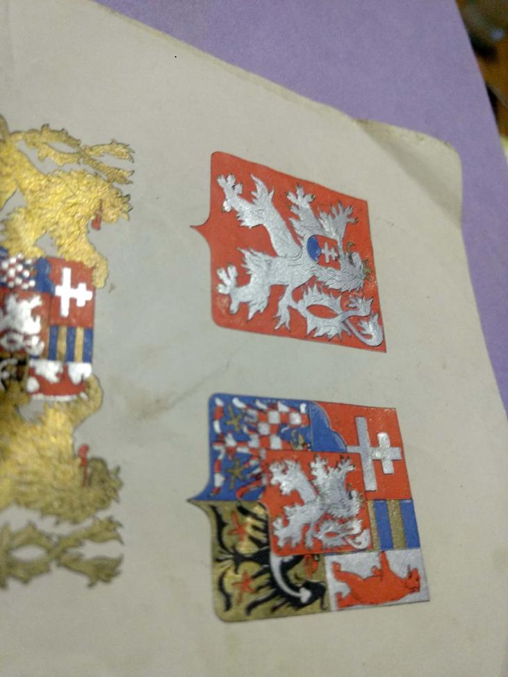 Obrázek vložený uživatelem
