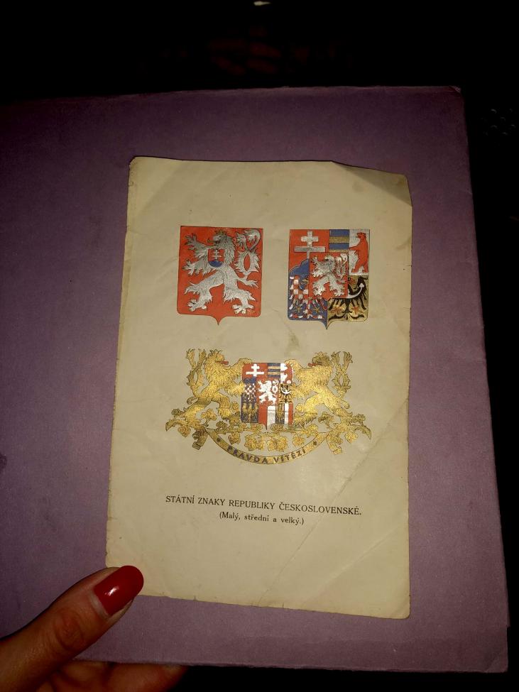 Obrázek vložený uživatelem