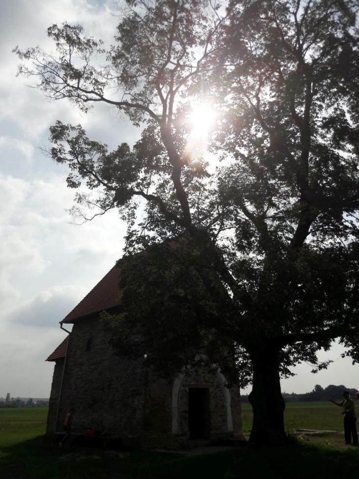 Obrázek vložený uživatelem