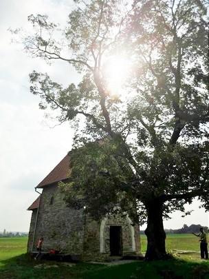 Obrázek vložený uživatelem
