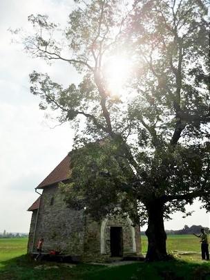 Obrzek vloen uivatelem