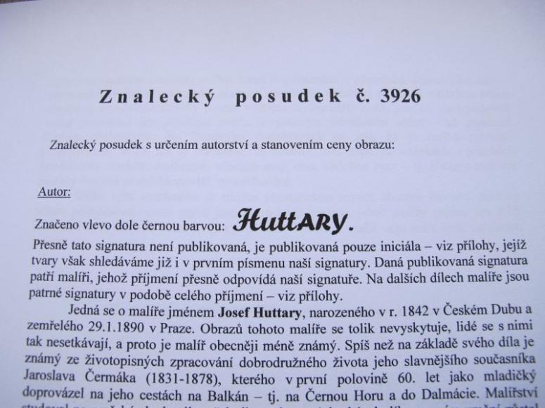 Obrázek vložený uživatelem