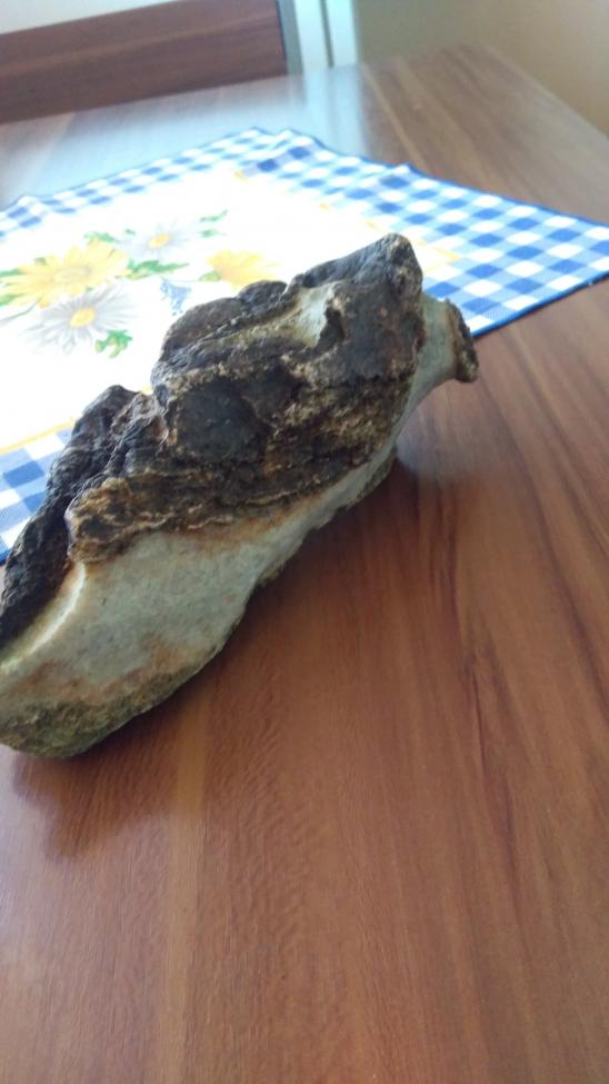 Obrázek vložený uživatelem
