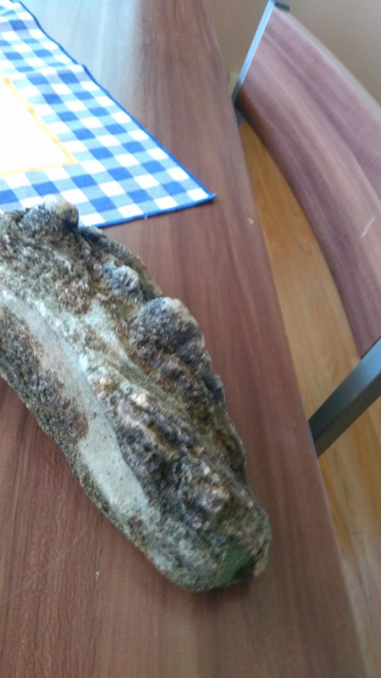 Obrázek vložený uživatelem