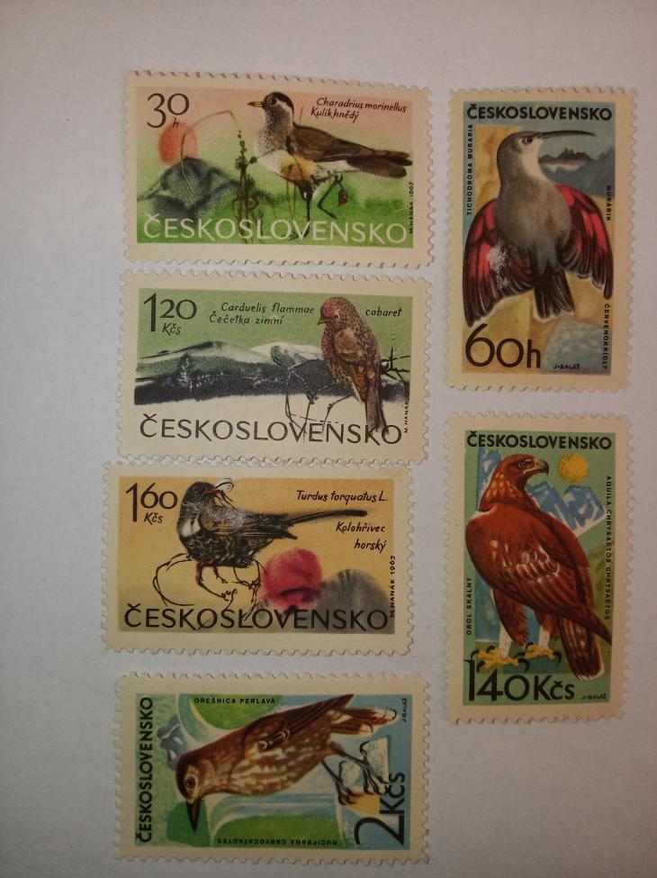 Obrázek vložený uživatelem
