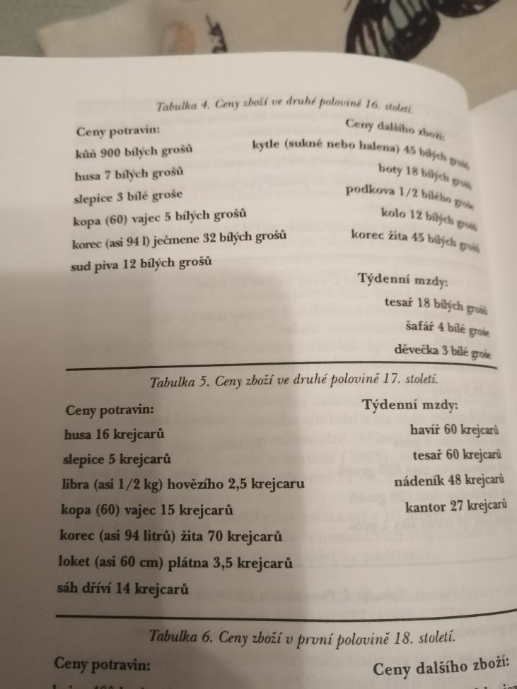 Obrázek vložený uživatelem