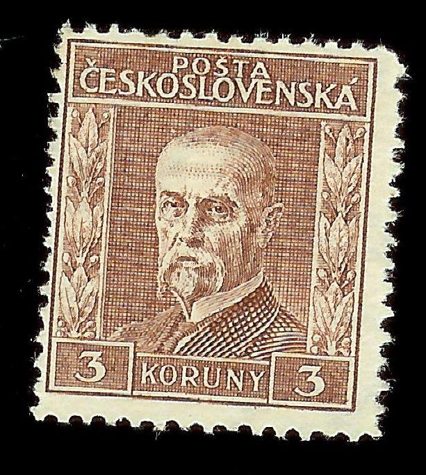 Obrázek vložený uživatelem