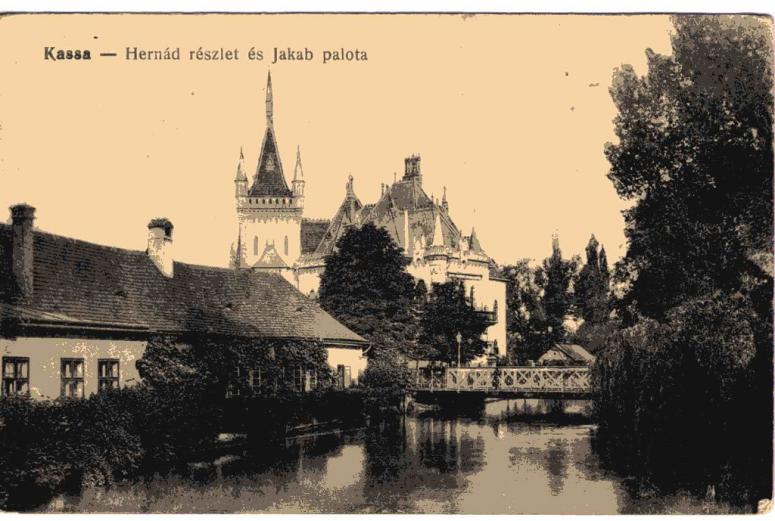 Obrázek vložený uživatelem