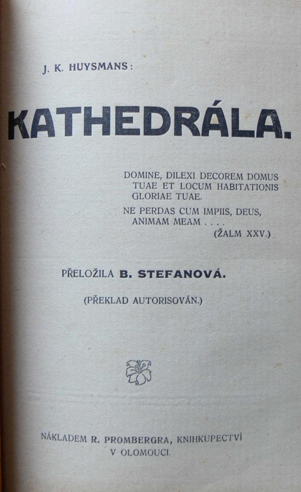 Obrázek vložený uživatelem