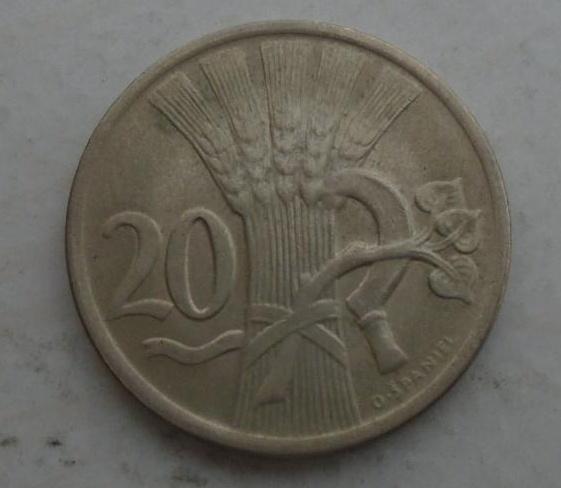 Obrázek vložený uživatelem