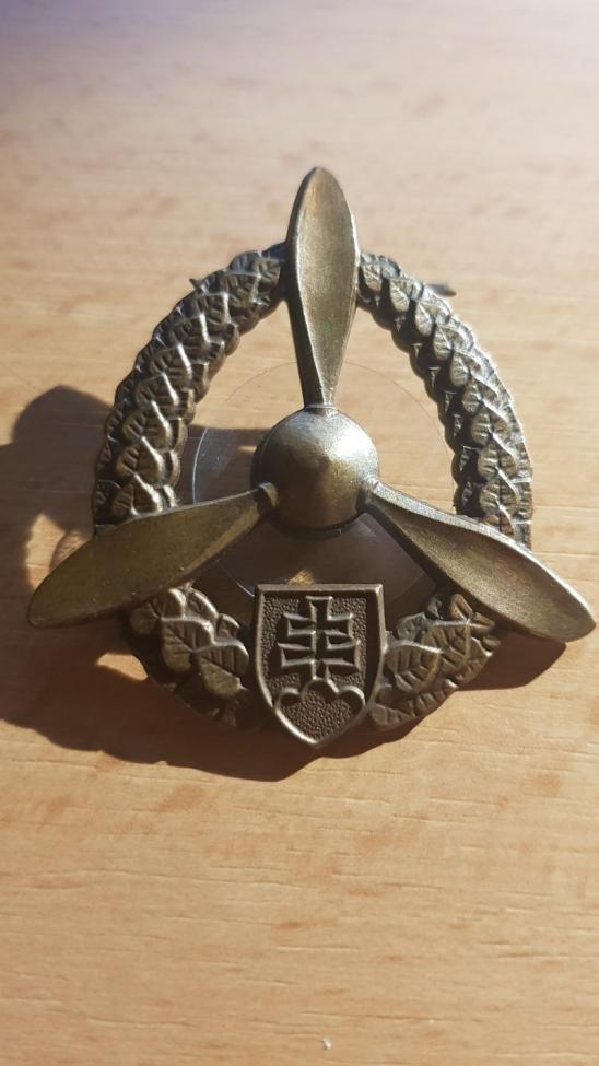 Obrázek vložený uživatelem