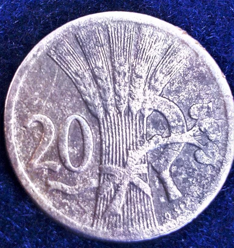 Obrázek vložený uživatelem
