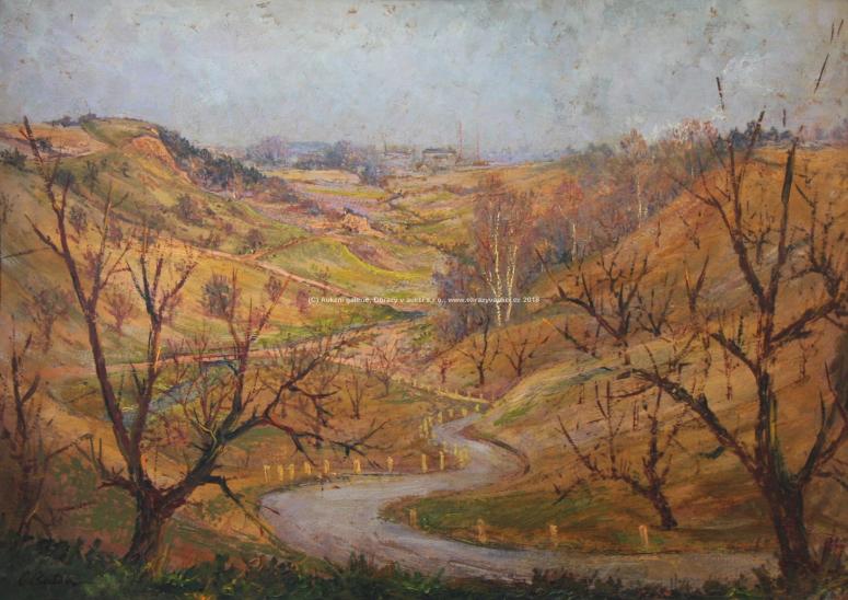 Obrázek vložený uživatelem