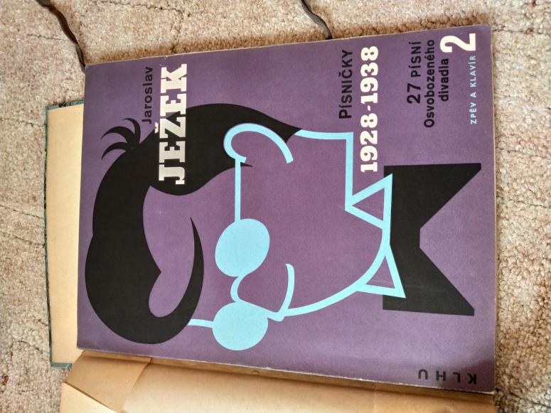 Obrázek vložený uživatelem