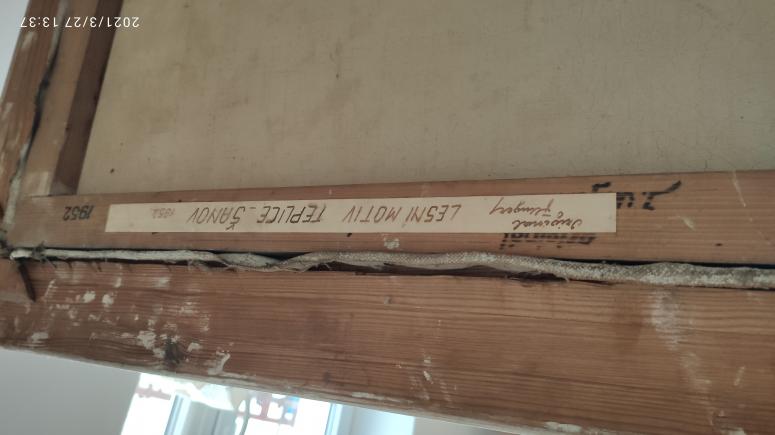 Obrázek vložený uživatelem