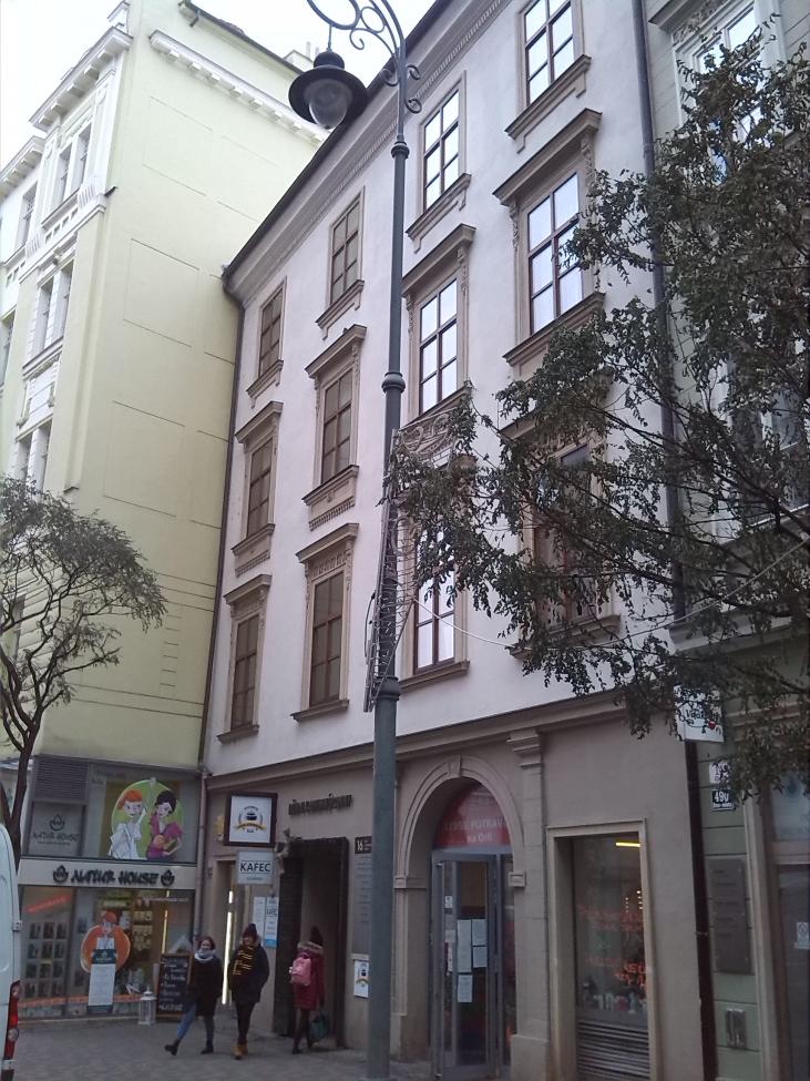 Obrázek vložený uživatelem