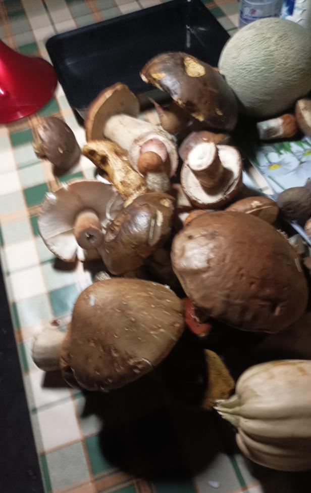 Obrázek vložený uživatelem