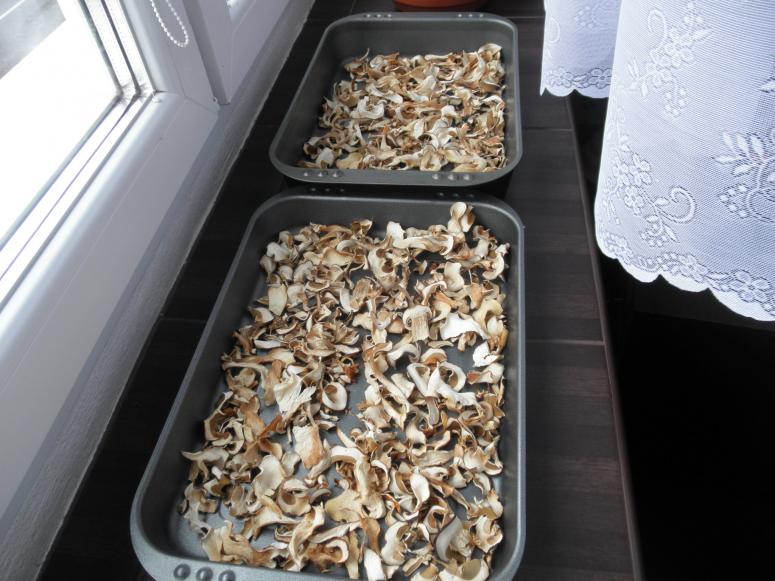 Obrázek vložený uživatelem
