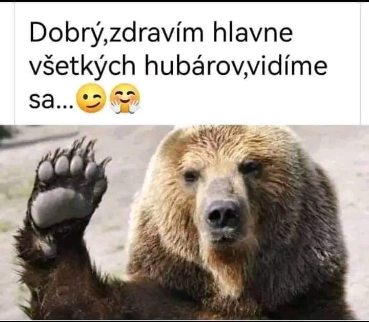 Obrázek vložený uživatelem