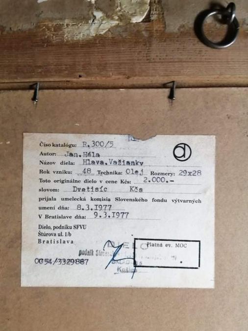 Obrázek vložený uživatelem
