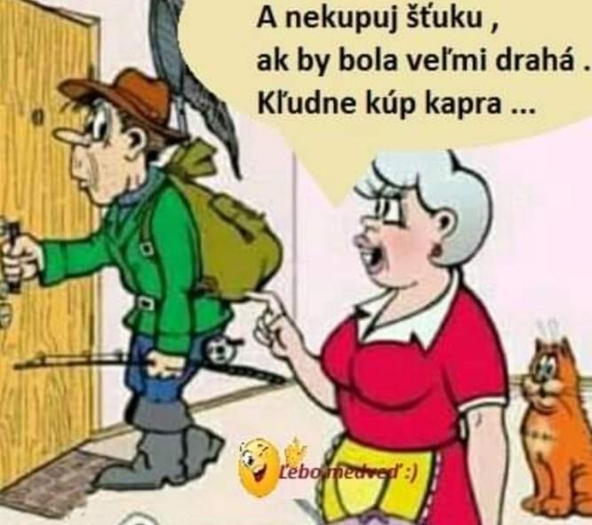 Obrázek vložený uživatelem
