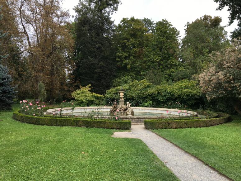 Obrázek vložený uživatelem