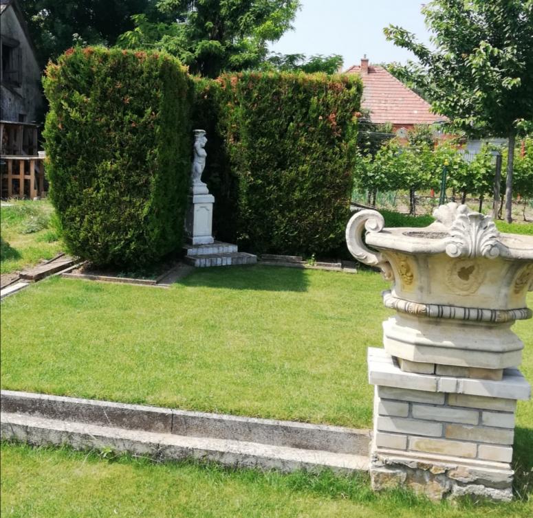 Obrázek vložený uživatelem
