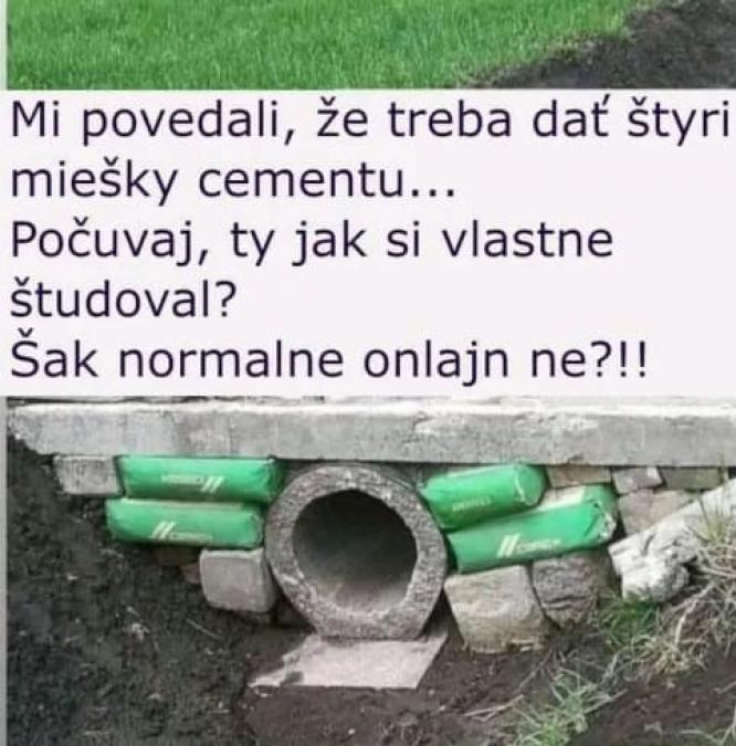 Obrázek vložený uživatelem