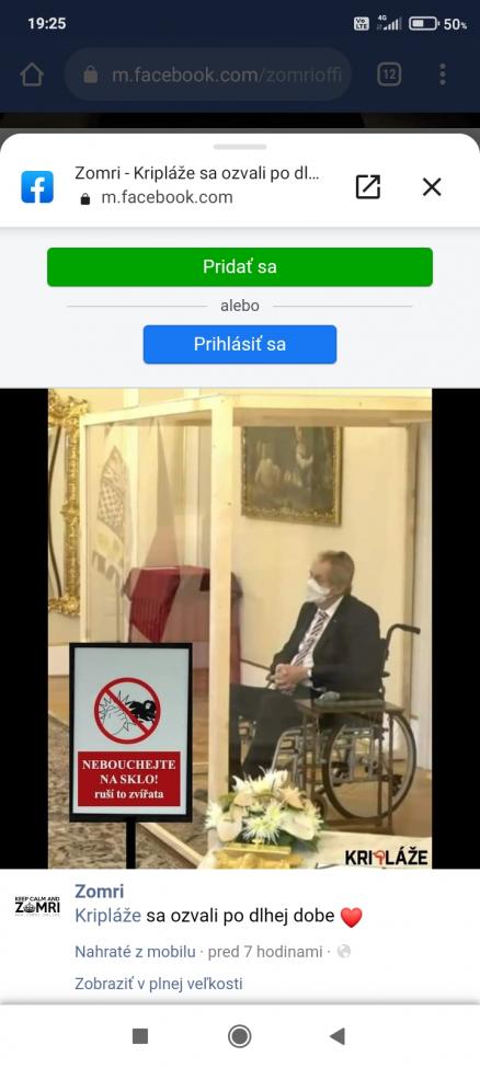 Obrázek vložený uživatelem